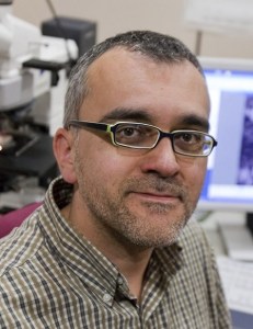 Fotografia: Robert Ramos.  RobertRamosfotografia@gmail.com  Tel. 610 03 01 90